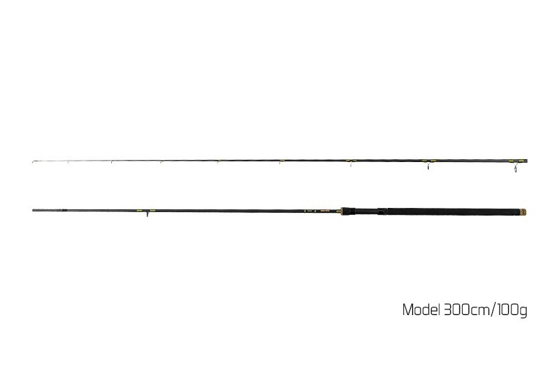 DELPHIN Prut MURENA 300 cm / 100 g / 2 díly
