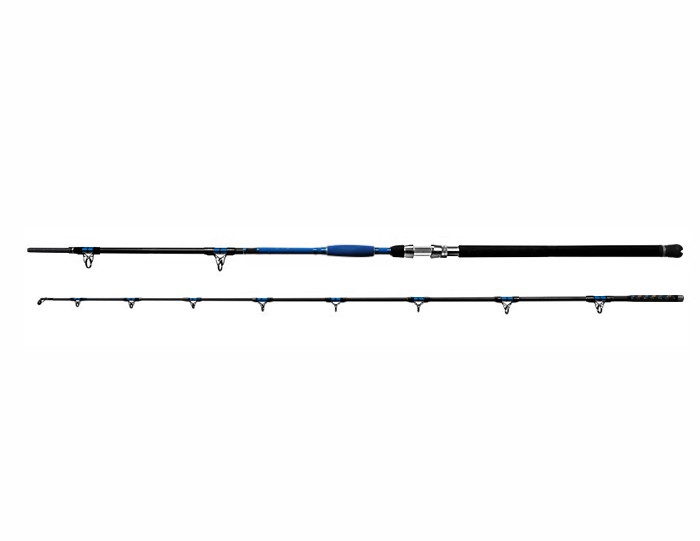 DELPHIN Prut HAZARD 255 cm / 500 g / 2 díly