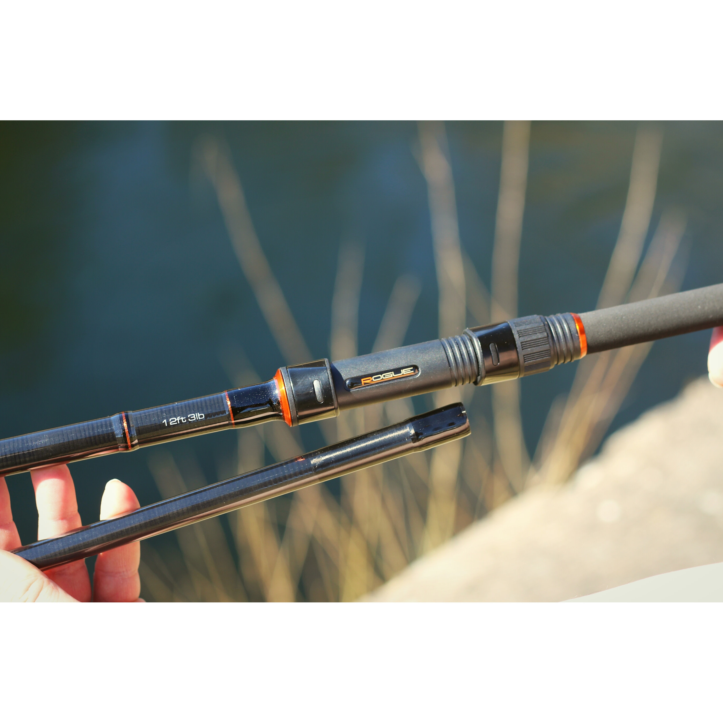 LEEDA Prut ROGUE CARP RODS 10FT, 3.00LB