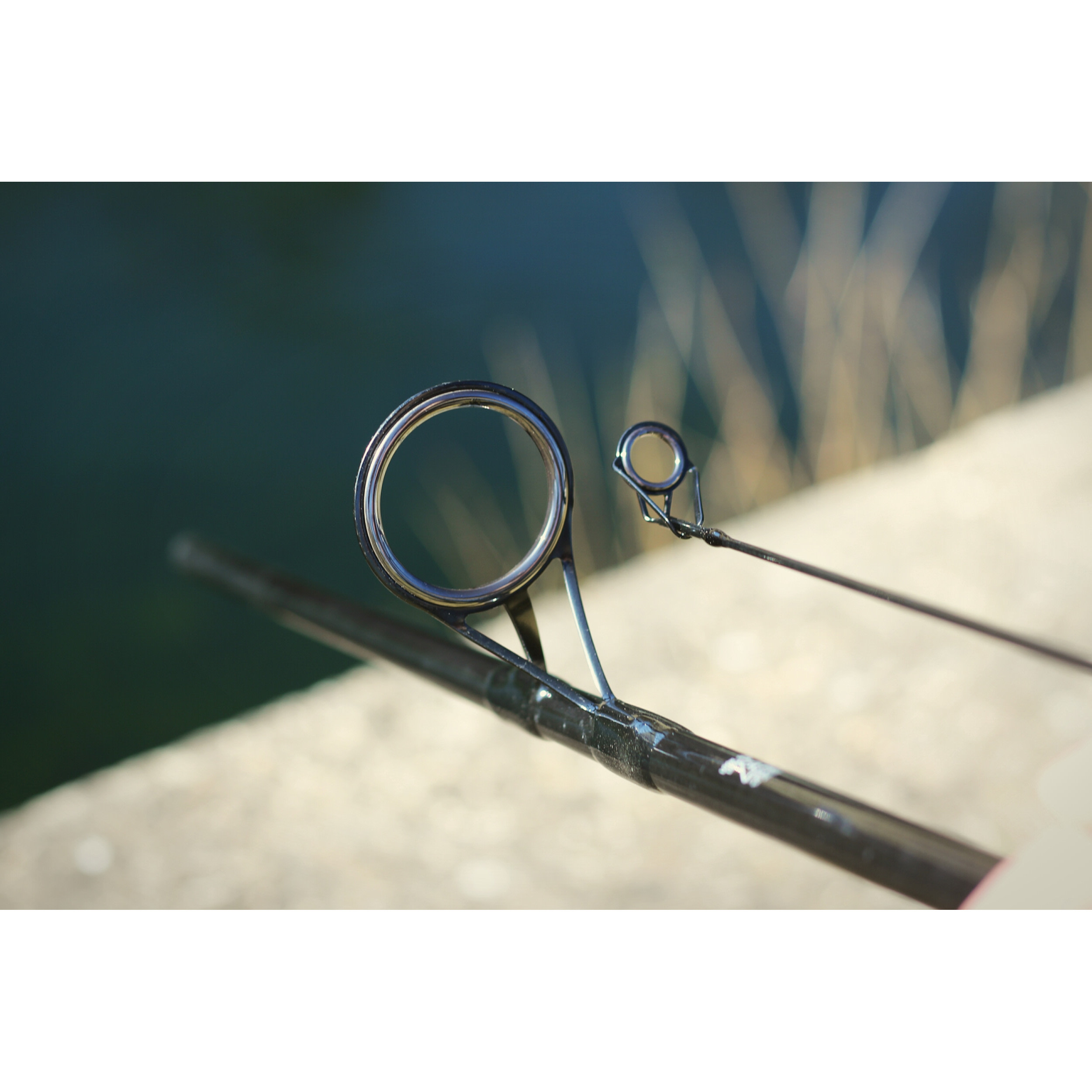 LEEDA Prut ROGUE CARP RODS 10FT, 3.00LB