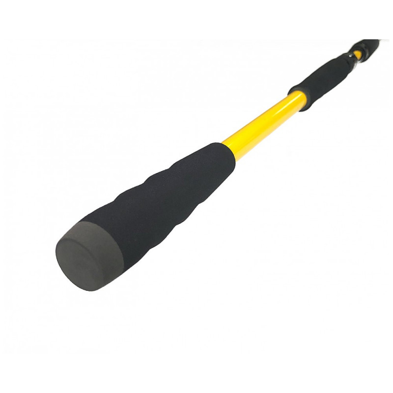 Zfish Prut Kodiak 2,40m 100-250g 2-díl