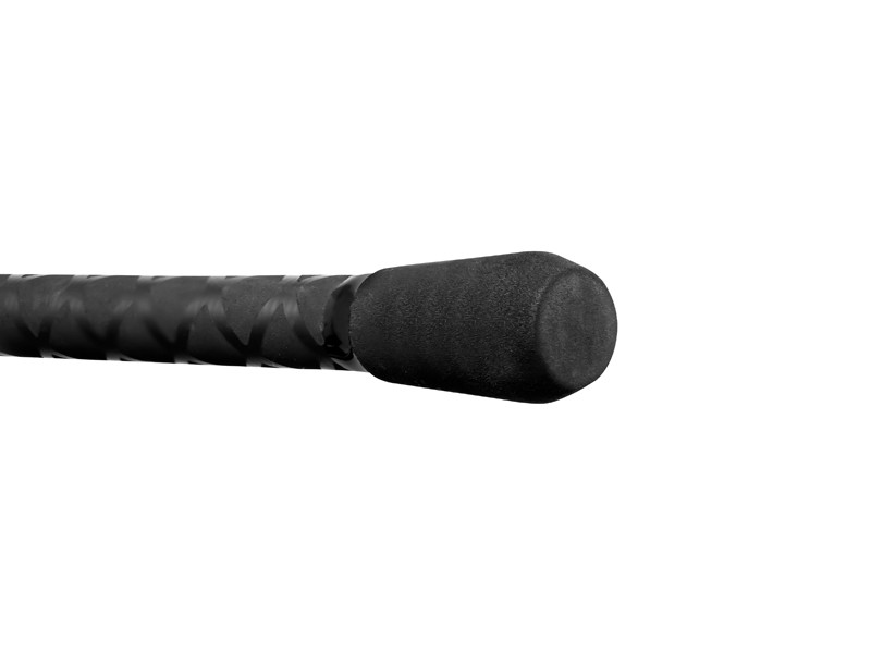 DELPHIN Prut PARTISAN Carp 360 cm / 3,5 lbs / 2 díly