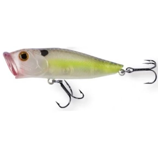 Wobler ROB. POP STAR F65 WCH