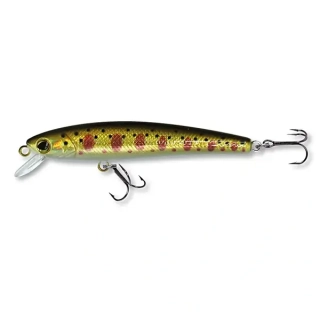 Wobler ROB. MARTEEN S65 DA-G