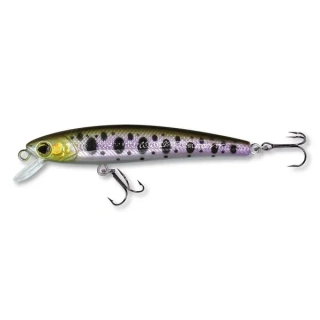 Wobler ROB. MARTEEN S65 DA-V