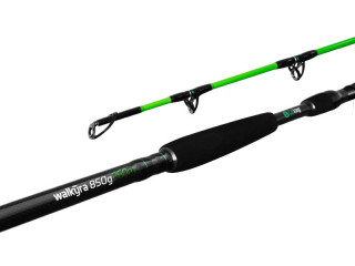 DELPHIN Prut WALKYRA 300 cm / 850 g / 2 díly