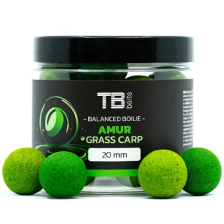 TB BAITS Vyvážené Boilie Balanced + Atraktor Amur 100 g 20 mm