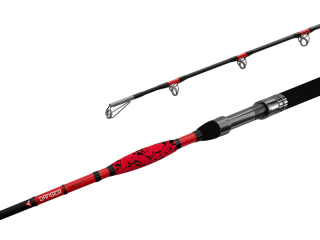 DELPHIN Prut DANGER CatFISH 285 cm / 350 g / 2 díly