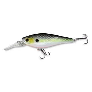 Wobler ROB. HOGAN F70 B-CL