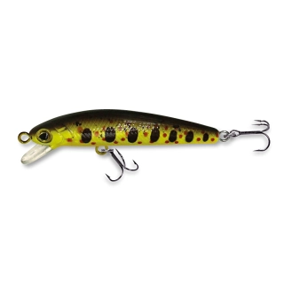 Wobler ROB. RICKIE F50 DAY