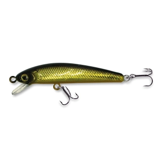 Wobler ROB. RICKIE F50 G