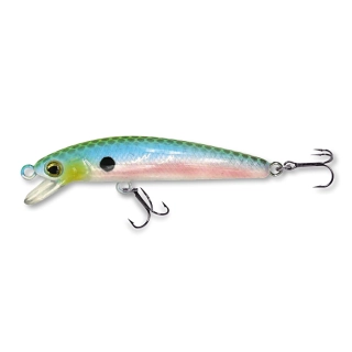 Wobler ROB. RICKIE F50 GRCL