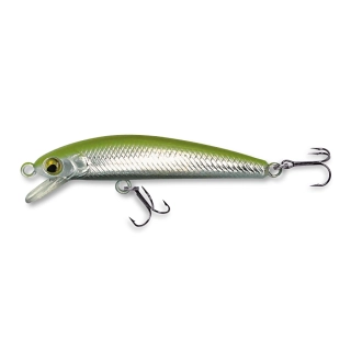 Wobler ROB. RICKIE F50 STE