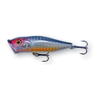 Wobler ROB. POP STAR F65 BCL