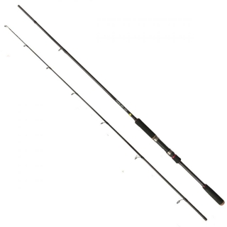 ALBASTAR Prut Heavy Spin 2,20 m 80-120g