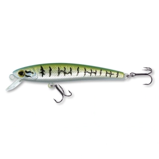 Wobler ROB. MARTEEN S65 S-MK
