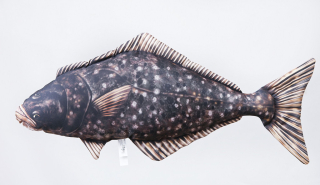 Polštář ryba Halibut střední